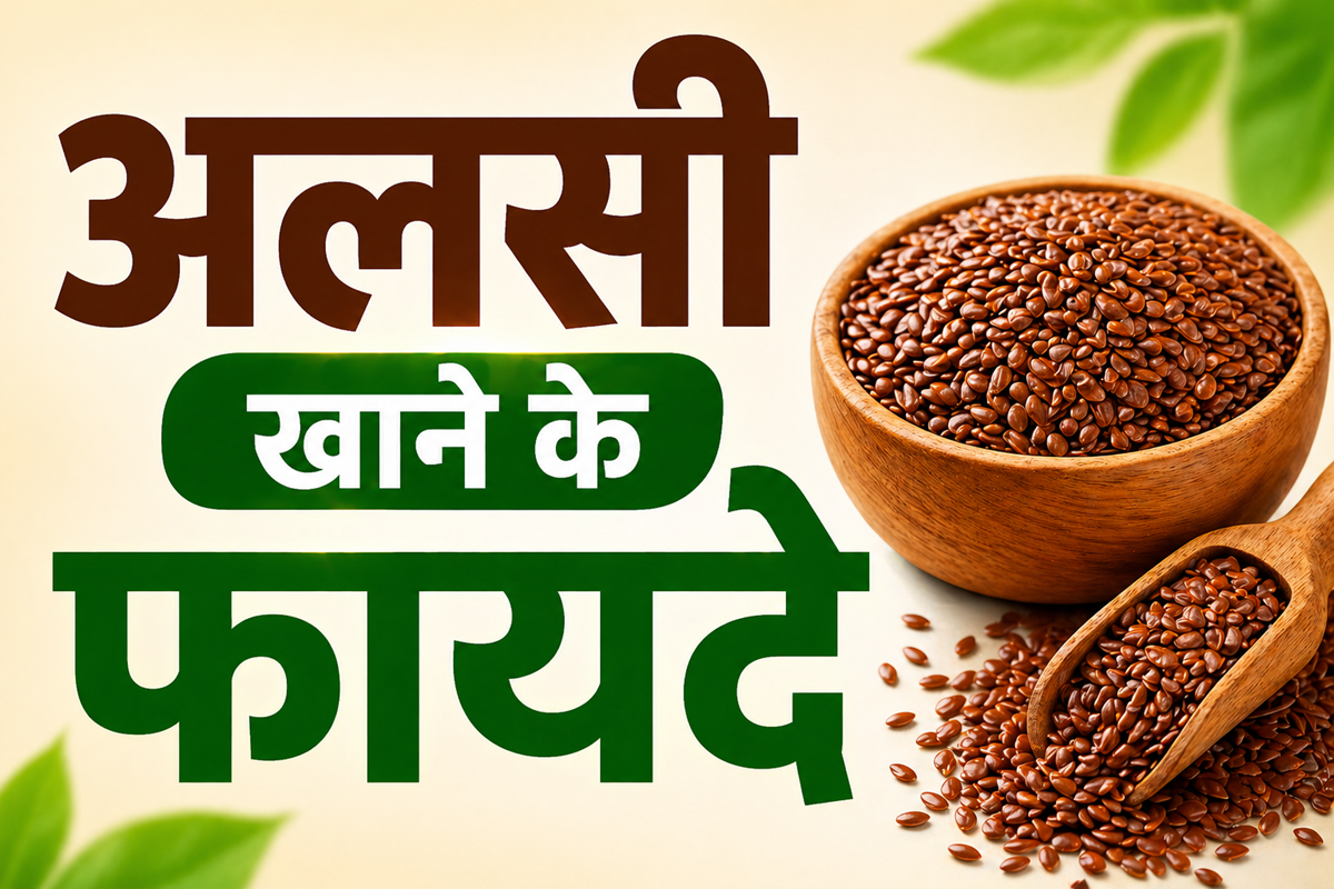 Read more about the article अलसी खाने के फायदे (Flax Seeds Benefits in Hindi)